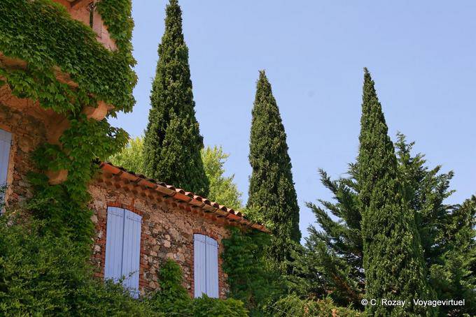 Grimaud, cipreste e pedras antigas, Provença, França