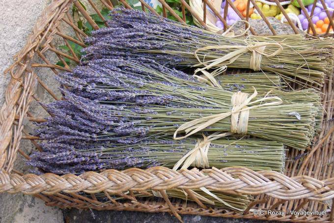 Ramatuelle, bouquets de lavanda, Provença, França