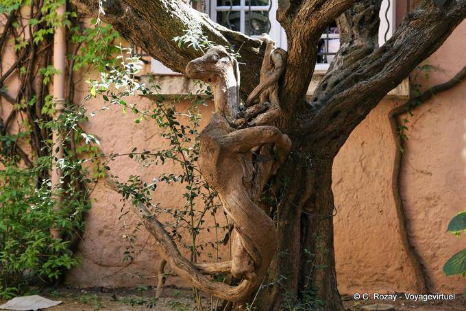Saint-Tropez, animal root, escultura de árvore, Provença, França