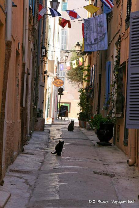 Saint-Tropez, gatos pretos beco, Provença, França