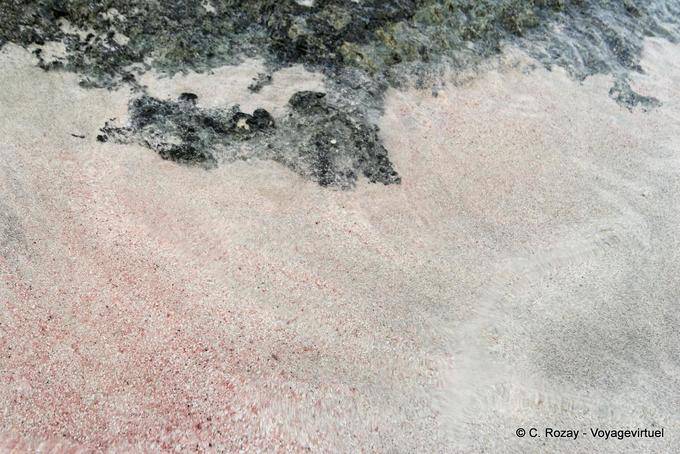 Cinza areia e rosa branca, Elafonissi - Creta, Grécia