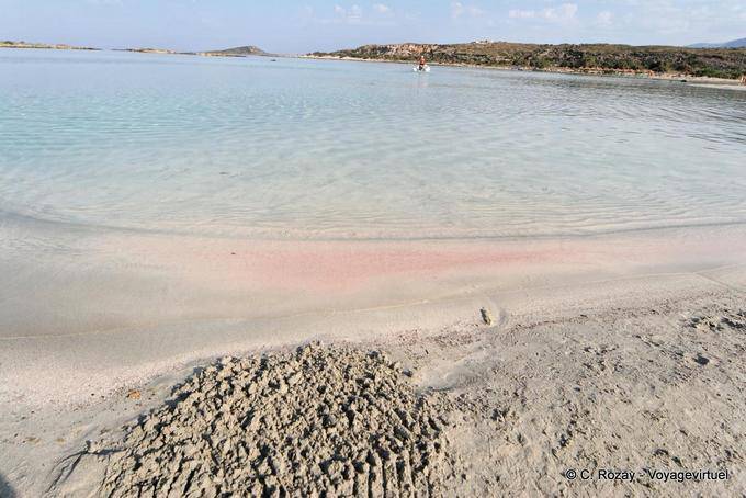 O veado ilha, Elafonissi - Creta, Grécia