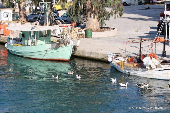 Patos no canal, Georgioupoli - Creta, Grécia