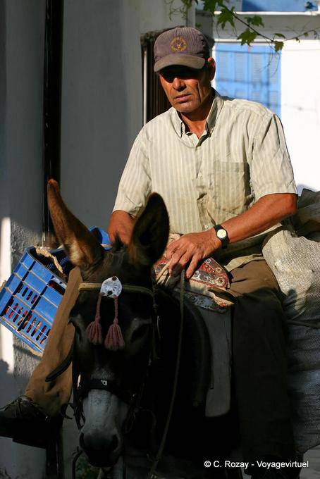 Lassithi, outra visão do homem montado em um burro - Creta, Grécia