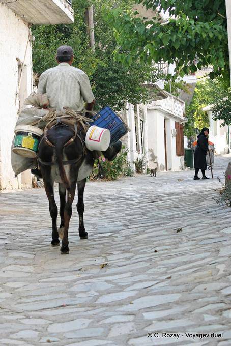 A vida cotidiana em uma rua da vila, Oropedio Lassithiou - Creta, Grécia