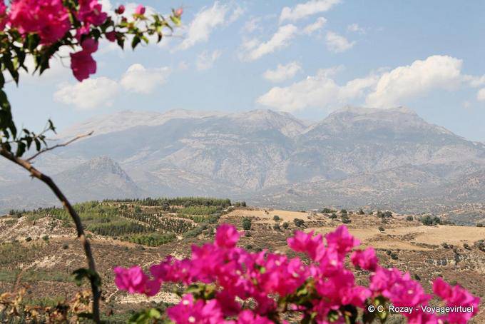 As Montanhas Brancas e White Mountains trás as buganvílias, Phaistos - Creta, Grécia