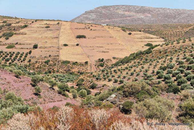 Paisagem mágica dos morros ao lado de Kato Zakros - Creta, Grécia