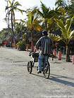 Triciclo e cana de açúcar na praia, Boca Chica, Rep. Dominicana.