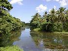 Rio da selva, Rep. Dominicana.