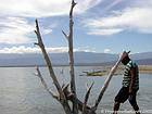 Solidão e madeira morta, Lago Enriquillo, Rep. Dominicana.