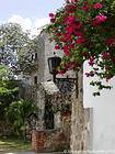 Beco florescido no bairro colonial de Santo Domingo, Rep. Dominicana.