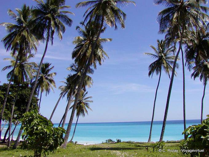 Palmeiras altas na costa do Caribe para Los Patos, Rep. Dominicana