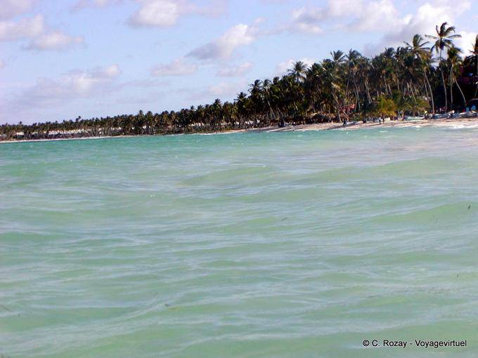 Praia de coco plantados Bavaro, Punta Cana costa norte, Rep. Dominicana