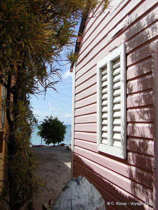 Caixa-de-rosa na praia, Bayahibe, Rep. Dominicana