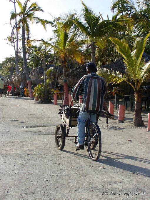 Triciclo e cana de açúcar na praia, Boca Chica, Rep. Dominicana