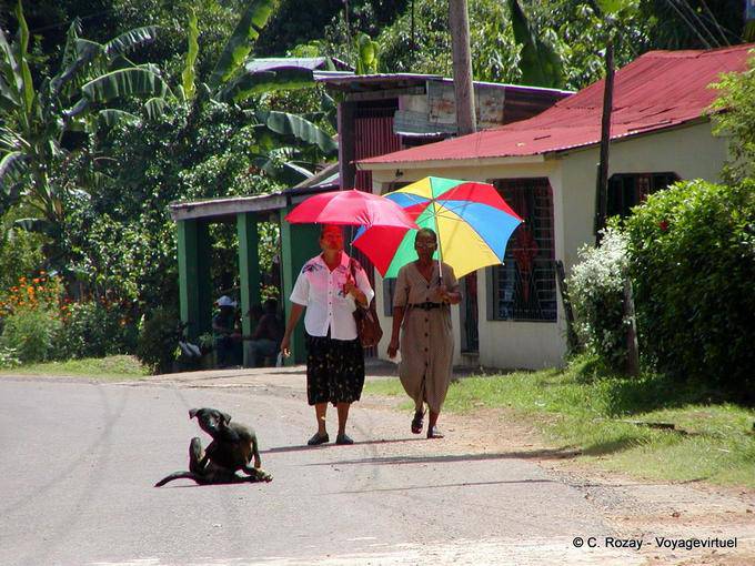 De acordo com os guarda-sóis e cão coçando, Rep. Dominicana