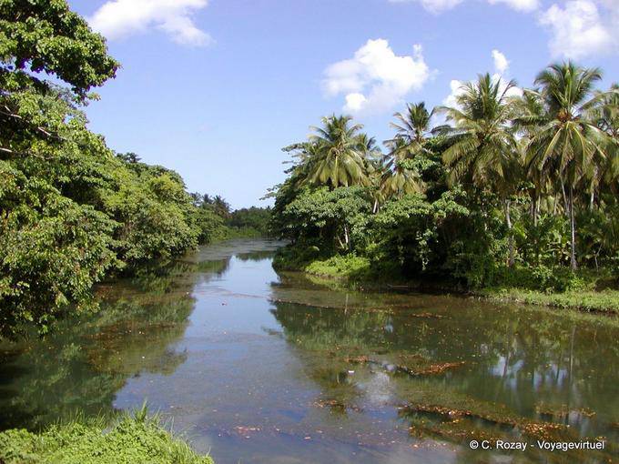 Rio da selva, Rep. Dominicana