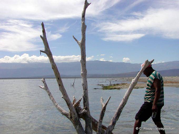 Solidão e madeira morta, Lago Enriquillo, Rep. Dominicana