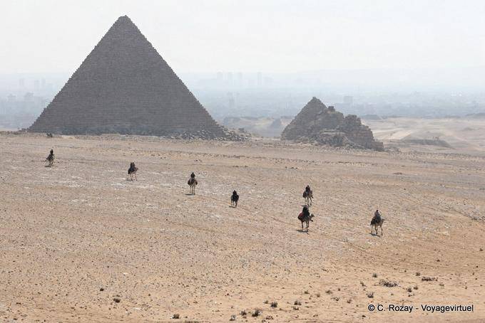 Camelo no deserto do Giza Necropolis - Egipto