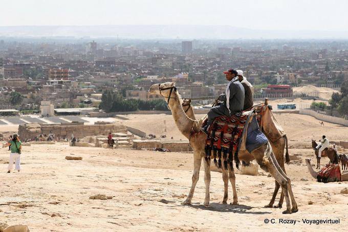 Camelo na frente de um panorama do Cairo - Egipto