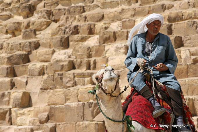 Camelo na frente dos blocos da pirâmide Quéops - Egipto