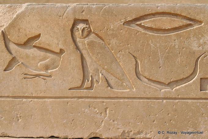 Ganso alívio coruja de Saqqarah - Egipto