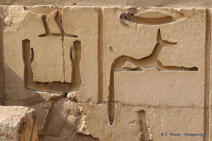 Relevos na parede do complexo funerário, Saqqara - Egipto