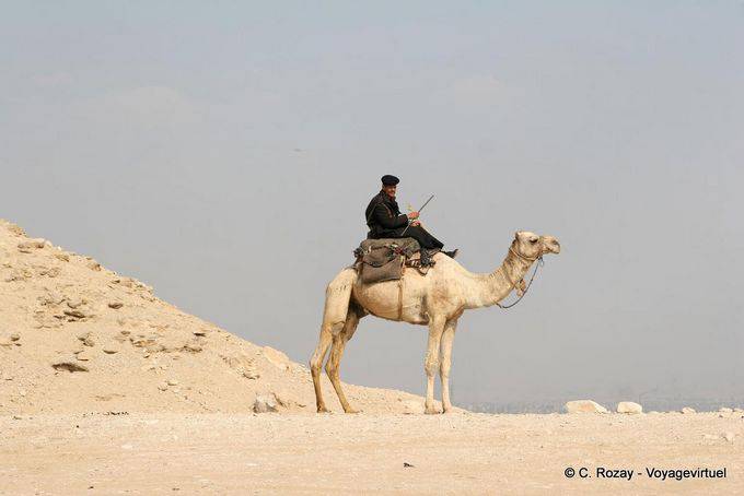 Polícia Camel, Saqqara - Egipto