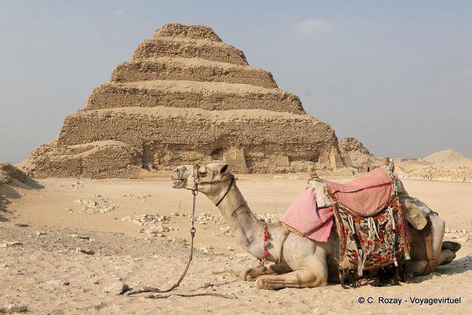 Camel no pé da pirâmide, Saqqara - Egipto