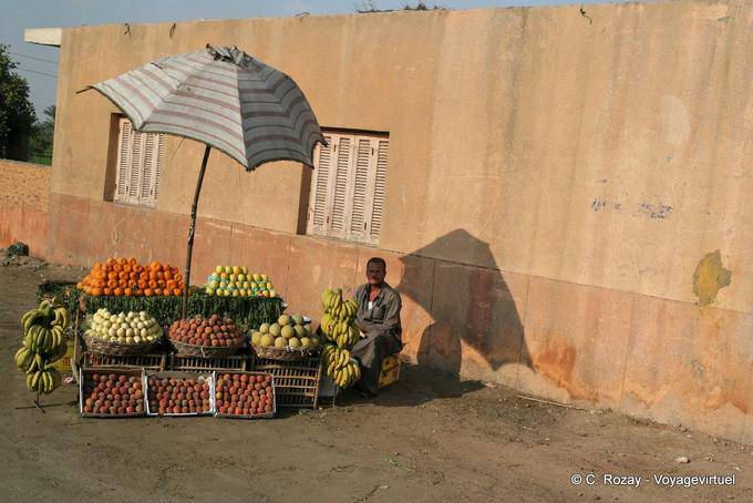 Pequeno mercado de frutas na beira da estrada, Saqqara, Cairo - Egipto