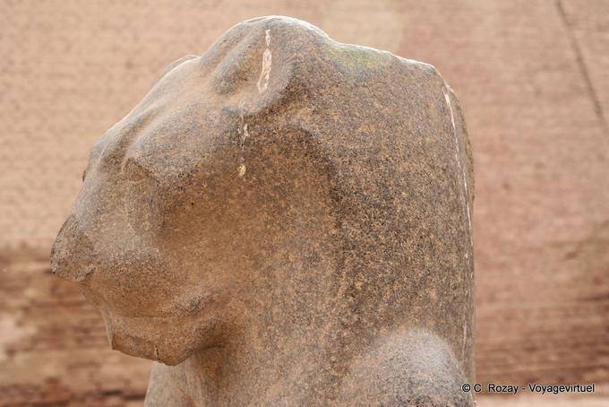 Deusa Menhit (Menhyt), consorte de Khnum, Esna Temple - Egipto