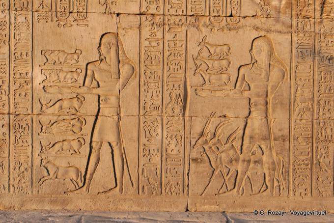 Representação Gazelles e gado oferecido, Templo de Kom Ombo - Egipto