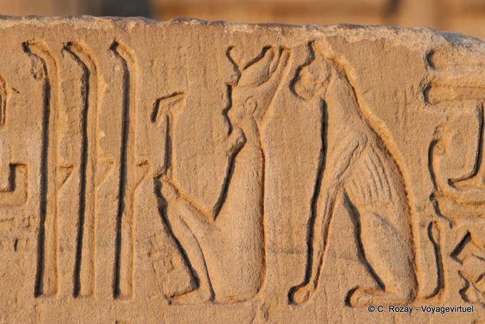 Palafitas e deus Bastet gato sentado atrás do rei, relevo, Templo de Kom Ombo - Egipto
