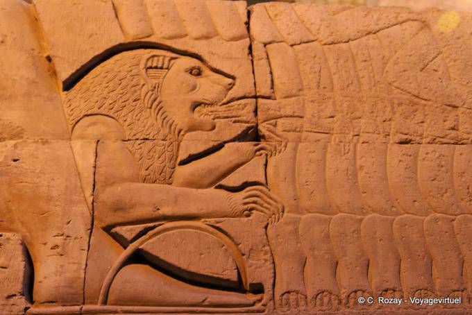 O Leão, detalhe de uma escultura, templo de Kom Ombo - Egipto