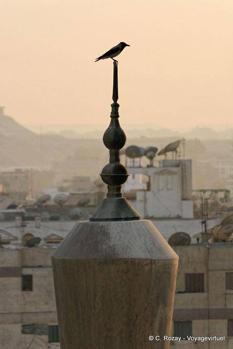 Pássaro no topo de um minarete, Cairo - Egipto