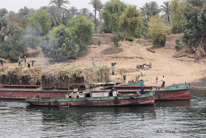 Carregando culturas em barcaças, margens do Nilo, perto de Luxor - Egipto