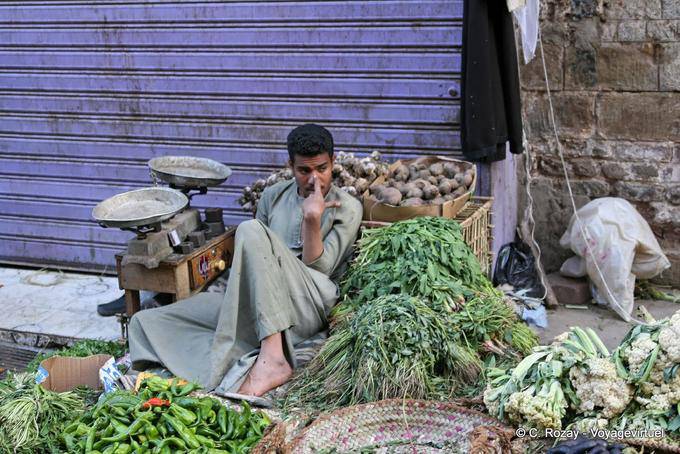 Relaxamento do verdureiro, mercado de Luxor - Egipto
