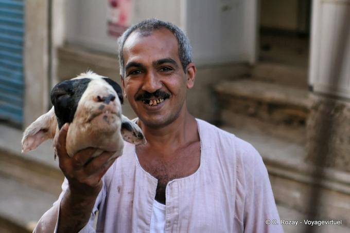 A cabeça de um carneiro na mão, Luxor - Egipto
