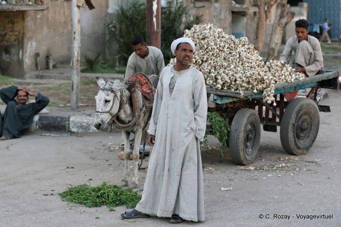 Alho Marchand, Luxor - Egipto