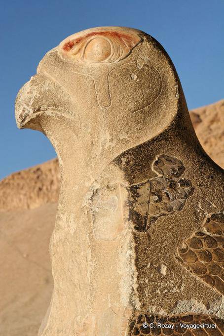 Cabeça de uma estátua gigante de Horus, Templo de Hatshepsut - Egipto