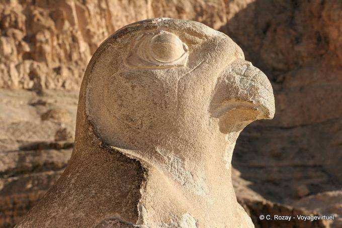 Falcão Perfil Horus, Templo de Hatshepsut - Egipto