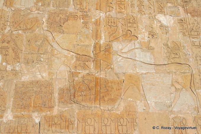 Representação Hathor vaca lambendo a mão de Faraó, Templo de Hatshepsut - Egipto