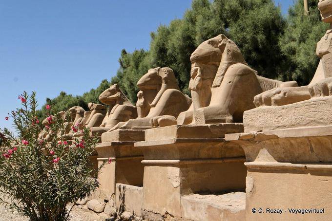 Esfinges com cabeça de carneiro beco na entrada para o site Karnak - Egipto