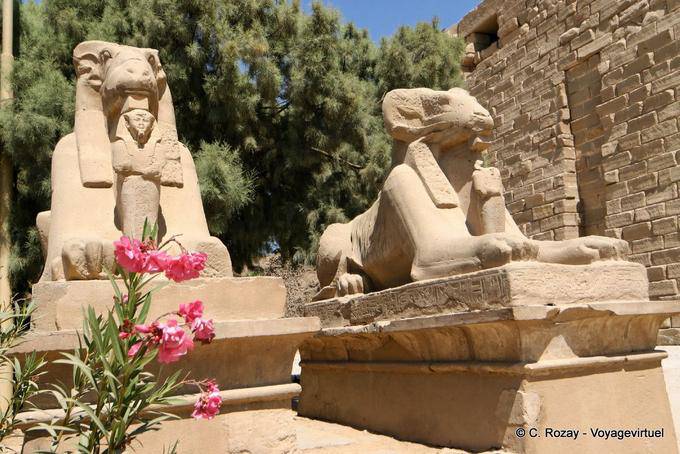 Dois sphynx no caminho para a delegacia de Amon-Re, Karnak - Egipto