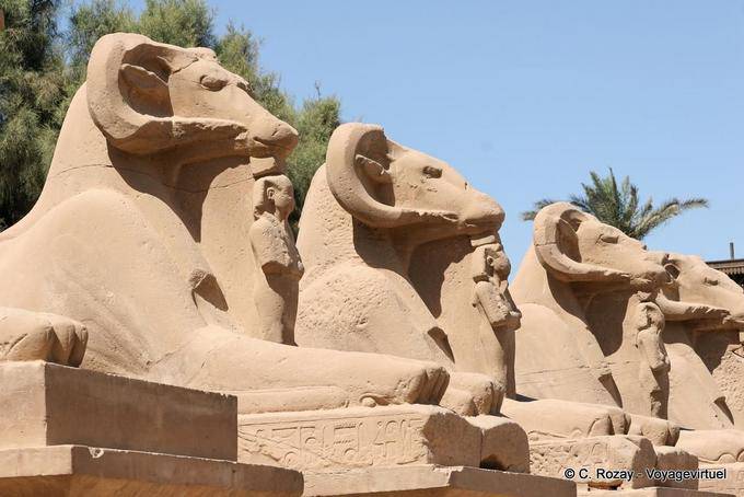 Esfinges com cabeça de carneiro, divindades cabeça de carneiro do panteão egípcio, templo de Karnak - Egipto