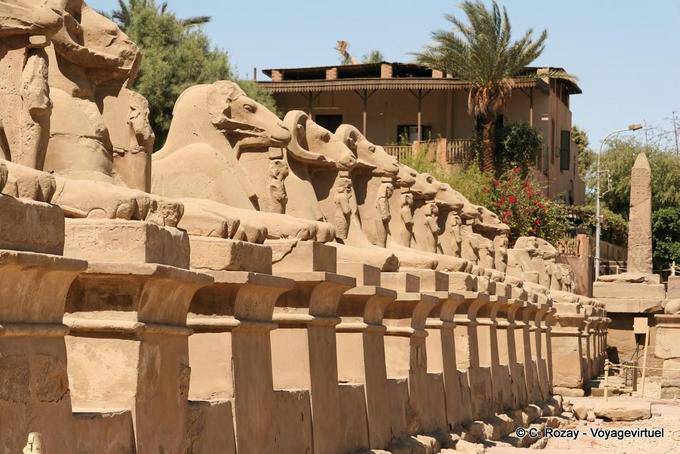 Alinhamento dos dromos Sphynx, Templo de Karnak - Egipto