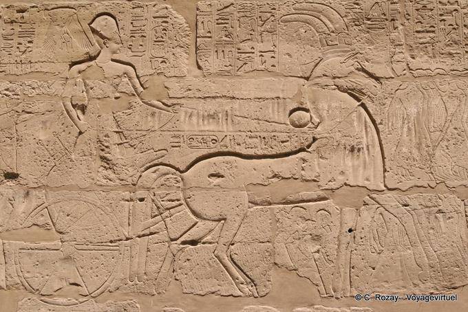 Faraó fresco dirigindo seu carro, templo de Karnak - Egipto