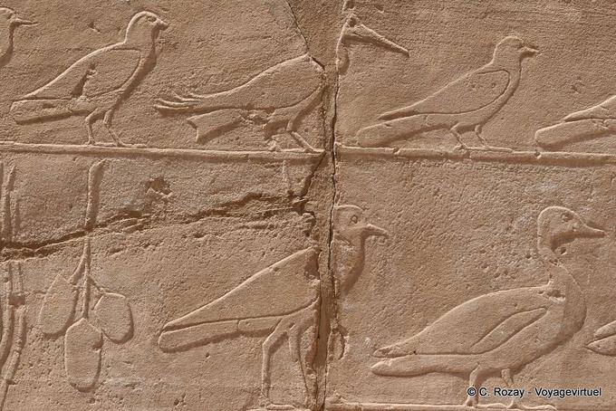 Desfile de aves diferentes, relevo, Templo de Karnak - Egipto
