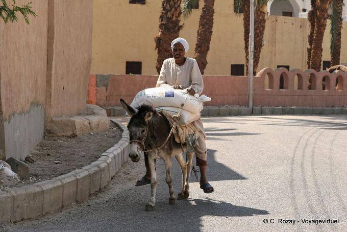 Homem em um burro com sua carga, rua Medinet Habu - Egipto
