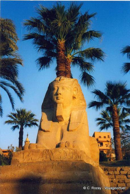 Sphinx cabeça do rei Nectanebo, Templo de Luxor - Egipto
